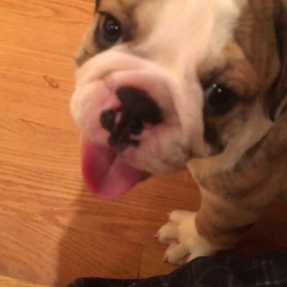 Meet your Posher, Jack